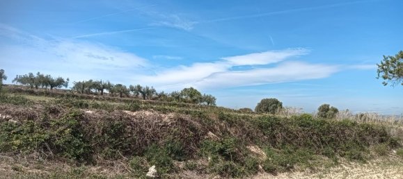 19716m² Land in L'Arboc, Spain No. 161022 15