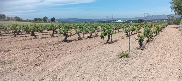 19716m² Land in L'Arboc, Spain No. 161022 18