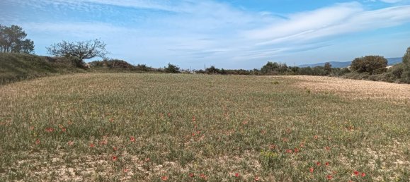 19716m² Land in L'Arboc, Spain No. 161022 11