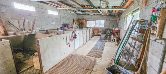 Terreno en Ganserndorf, Austria No. 258459 4