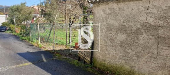 3 chambres Villa à Mosteiro, Portugal No. 42965 5