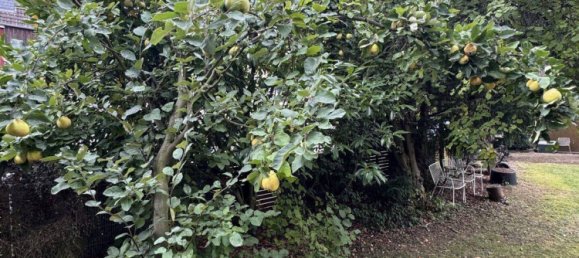 4 غرف نوم مزرعة في Lower Saxony, Germany رقم 282114 35