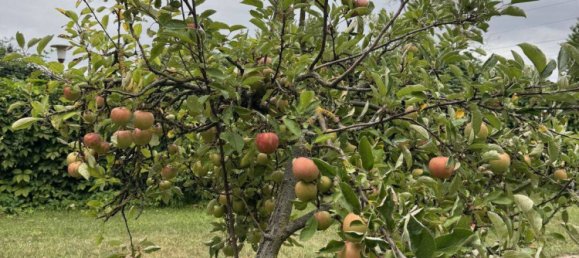 4 غرف نوم مزرعة في Lower Saxony, Germany رقم 282114 30