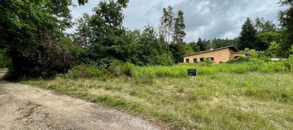 Земельный участок в Нюрнбергер-Ланд, Германия № 158485 2