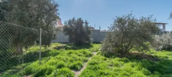  قطعة أرض في Granada, Spain 100متر مربع رقم 175253 20