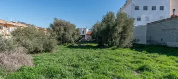  قطعة أرض في Granada, Spain 100متر مربع رقم 175253 14