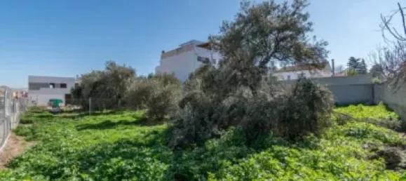  قطعة أرض في Granada, Spain 100متر مربع رقم 175253 15