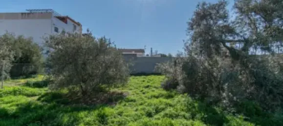  قطعة أرض في Granada, Spain 100متر مربع رقم 175253 17