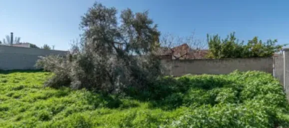  قطعة أرض في Granada, Spain 100متر مربع رقم 175253 18