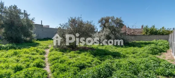  قطعة أرض في Granada, Spain 100متر مربع رقم 175253 23