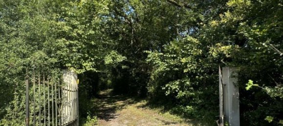 25674m² Land in Klang, France No. 238341 6