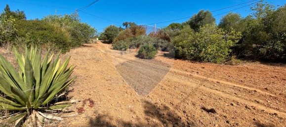 3 bedrooms House in Quelfes, Portugal No. 30806 8