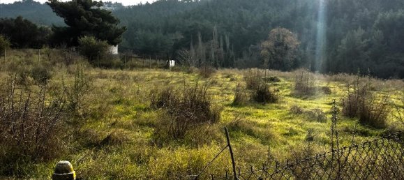  فندق في Pylaia, Greece 5274متر مربع رقم 6838 3