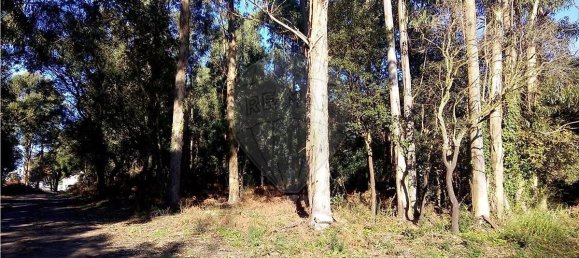 23000m² Land in Sao Felix da Marinha, Portugal No. 37632 3