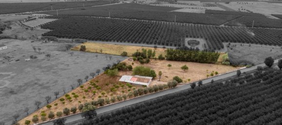 2 غرف نوم منزل في Cuba, Portugal رقم 174280 2