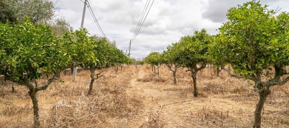 2 غرف نوم منزل في Cuba, Portugal رقم 174280 8