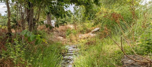 2 غرف نوم منزل في Cuba, Portugal رقم 174280 21