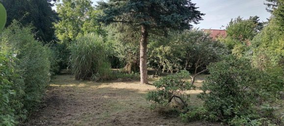  Land in Mahlsdorf, Germany No. 352712 3