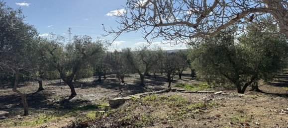 Casa de 2 habitaciónes en Alberobello, Italy No. 79147 28