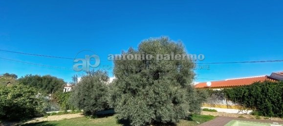 Дом с 4 спальнями в Азиньял, Португалия № 136163 49