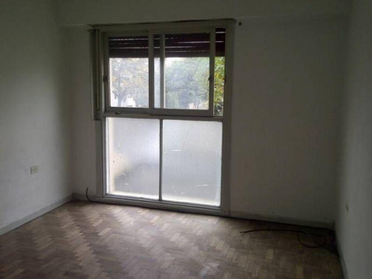 Estudio en Campo Creado, Argentina No. 4201