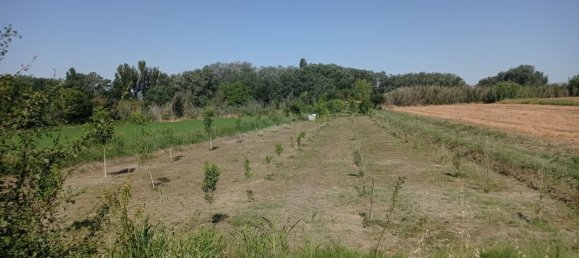  Land in Villanueva de Gallego, Spain No. 160601 10