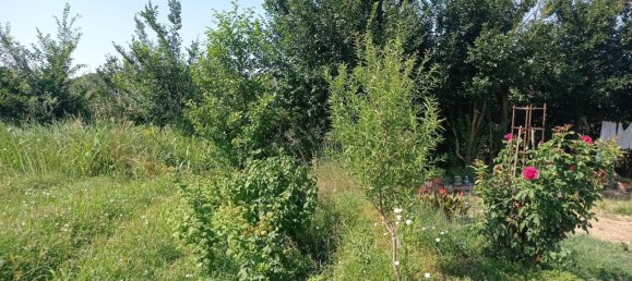  Land in Villanueva de Gallego, Spain No. 160601 7