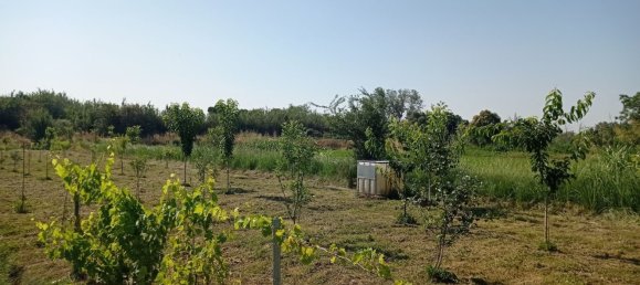  Land in Villanueva de Gallego, Spain No. 160601 2