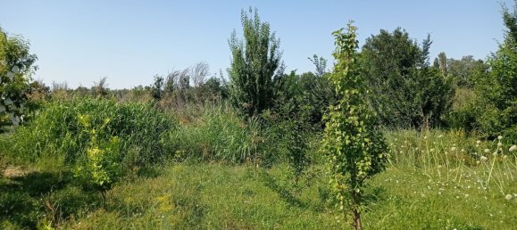  Land in Villanueva de Gallego, Spain No. 160601 4