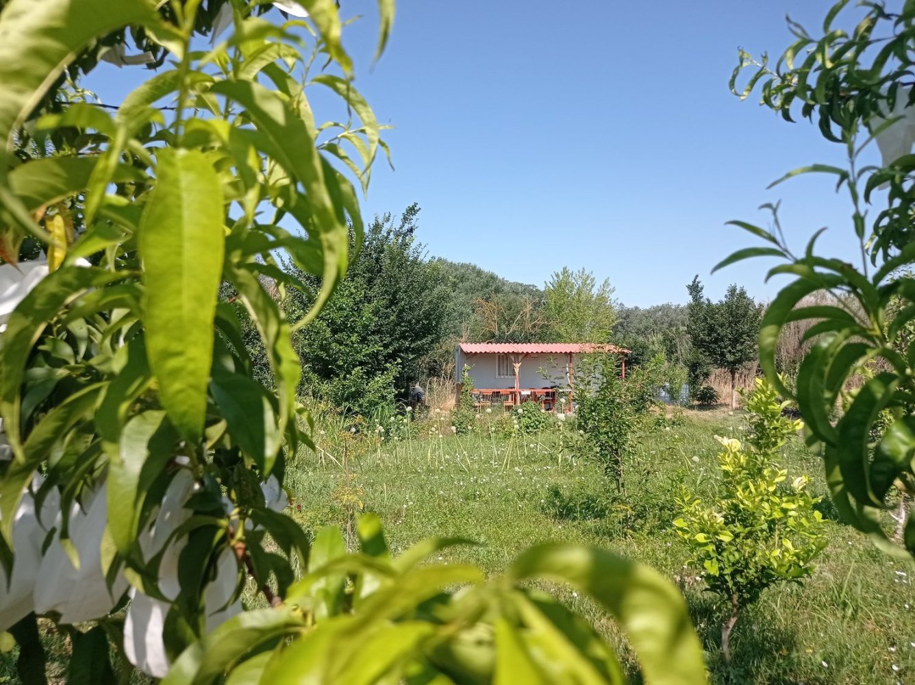  Land in Villanueva de Gallego, Spain No. 160601