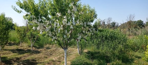  Land in Villanueva de Gallego, Spain No. 160601 8