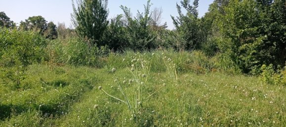  Land in Villanueva de Gallego, Spain No. 160601 5