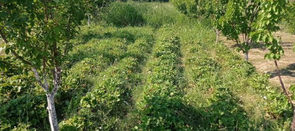  Land in Villanueva de Gallego, Spain No. 160601 9