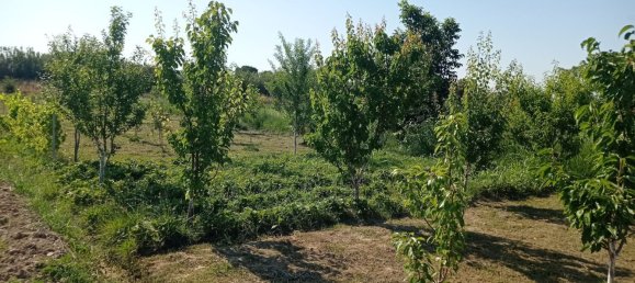  Land in Villanueva de Gallego, Spain No. 160601 3