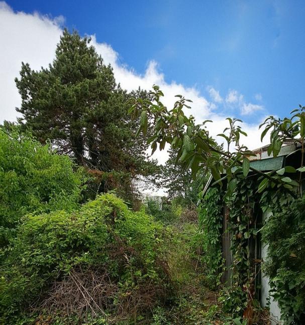 Terrain à Deutsch-Wagram, Austria 679m² No. 202470