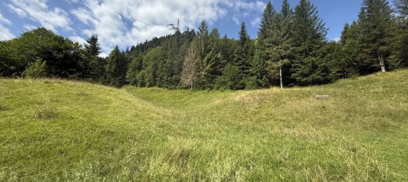 Таунхаус с 6 спальнями в Гармиш-Партенкирхен, Германия № 243477 4