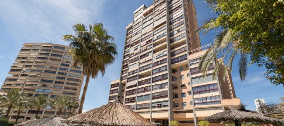  فندق في Benidorm, Spain 15متر مربع رقم 172362 2