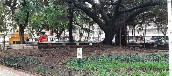 1 غرف نوم شقة في Lisbon, Portugal رقم 155189 19