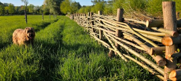 Apartamento de 2 dormitorios en Marzahn, Germany No. 245812 19