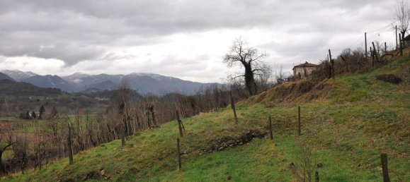 Вилла с 11 комнатами в Филаттьера, Италия № 255766 8