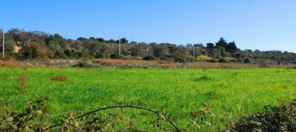  Land in Castrignano del Capo, Italy No. 82676 3