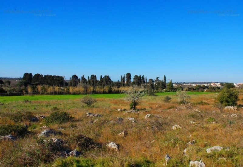  Land in Castrignano del Capo, Italy No. 82676