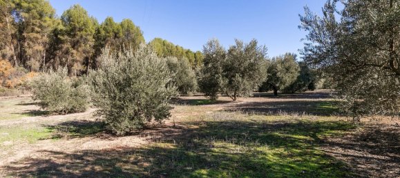 Grundstück in Albolote, Spain 26000m², Nr. 108069 4