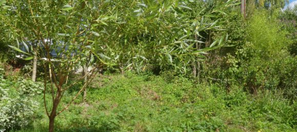 1 Schlafzimmer Haus in Rems-Murr-Kreis, Germany, Nr. 320024 19