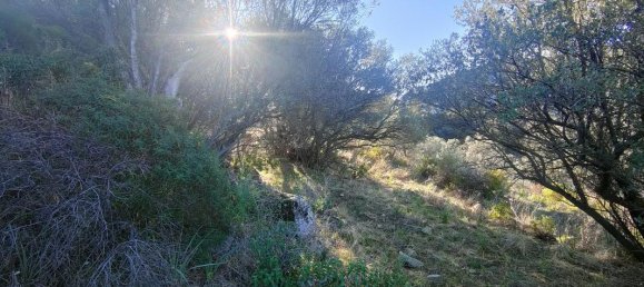  Land in Lama, France No. 261594 2