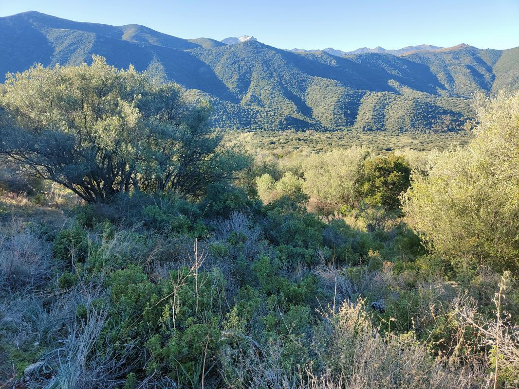  Land in Lama, France No. 261594