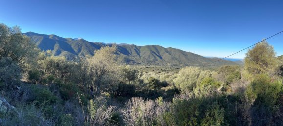  Land in Lama, France No. 261594 5