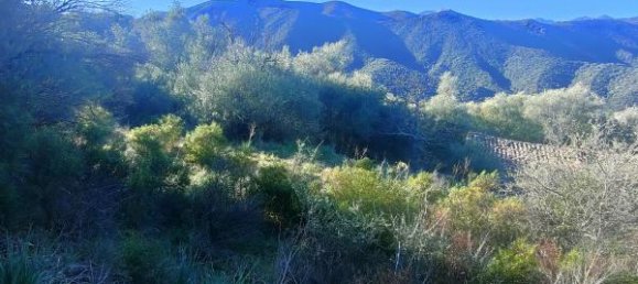  Land in Lama, France No. 261594 3