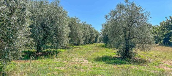 4 bedrooms House in Sorano, Italy No. 270979 39