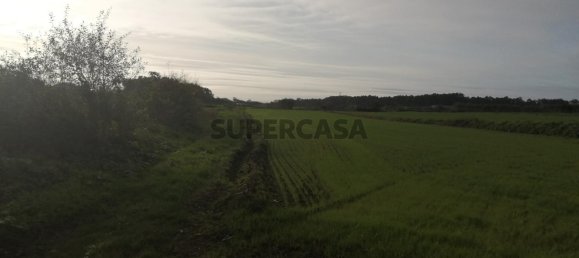 Land in Matosinhos, Portugal No. 157657 5